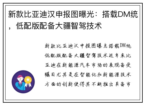 新款比亚迪汉申报图曝光：搭载DM统，低配版配备大疆智驾技术