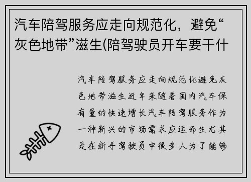 汽车陪驾服务应走向规范化，避免“灰色地带”滋生(陪驾驶员开车要干什么)